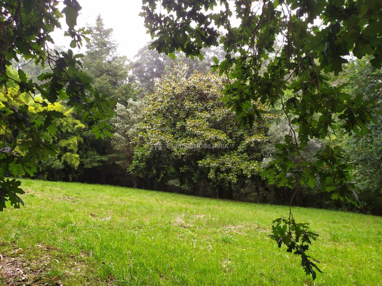 178178170413600045151_178177975255 CASA DE PIEDRA PARA REHABILITAR-EXCELENTE FINCA