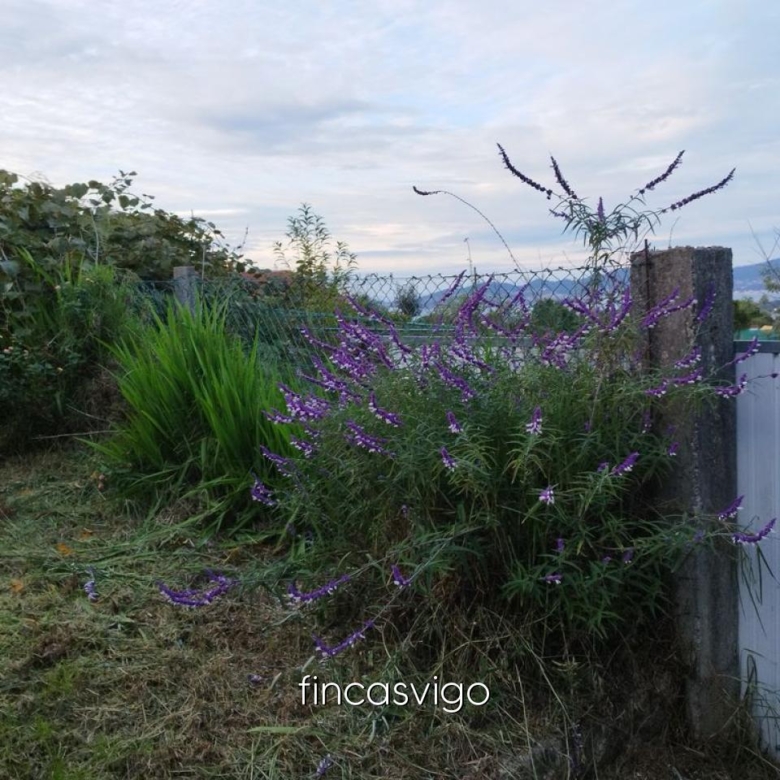 Casa en Vigo