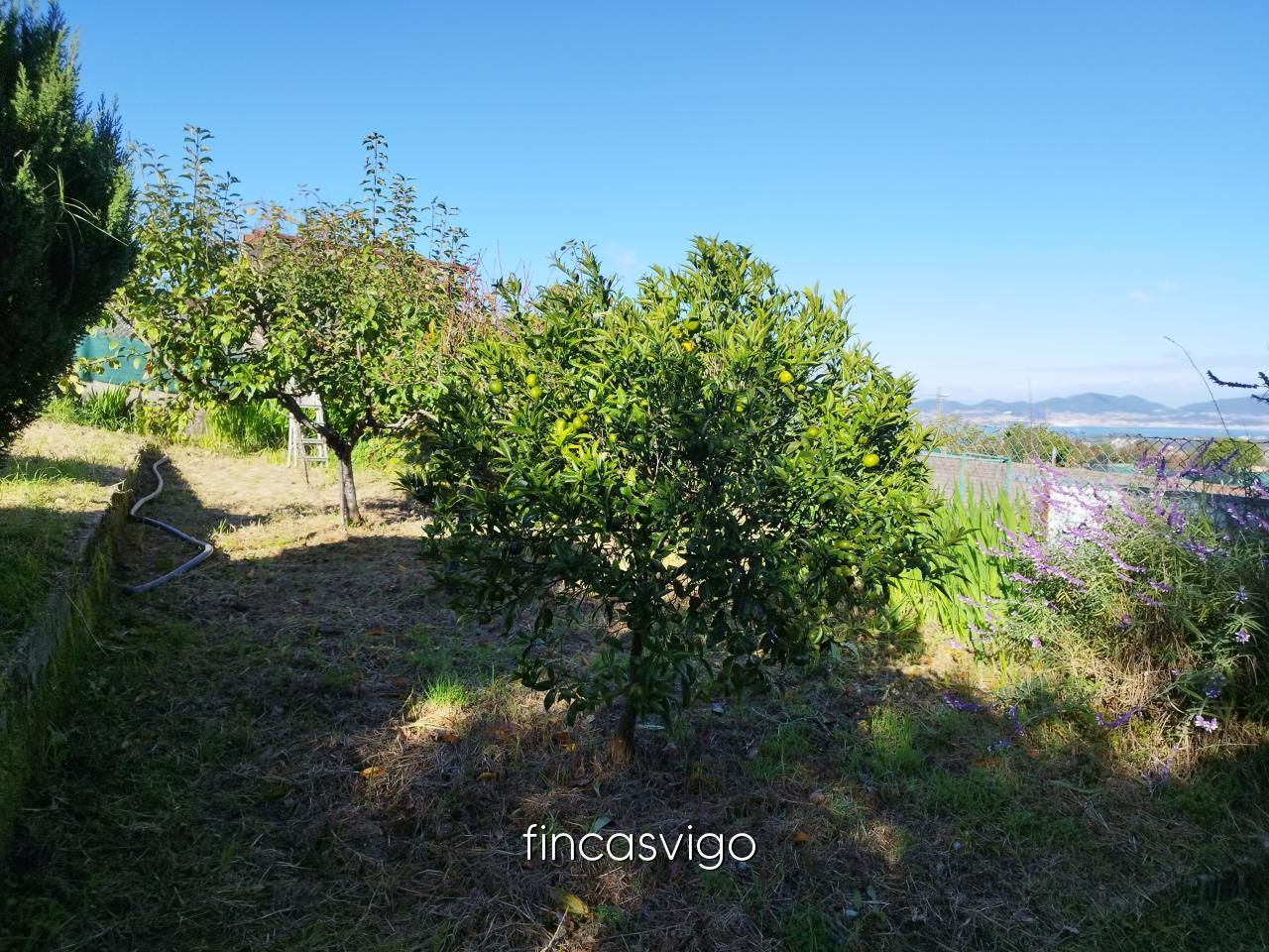 178180604290700045008_178050634442 Casa en Vigo