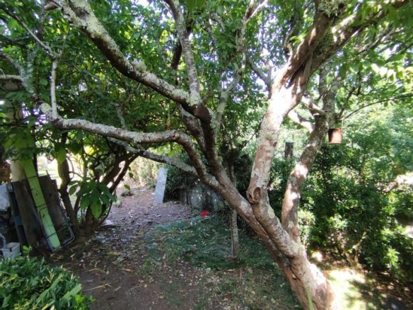 Casa en Vigo