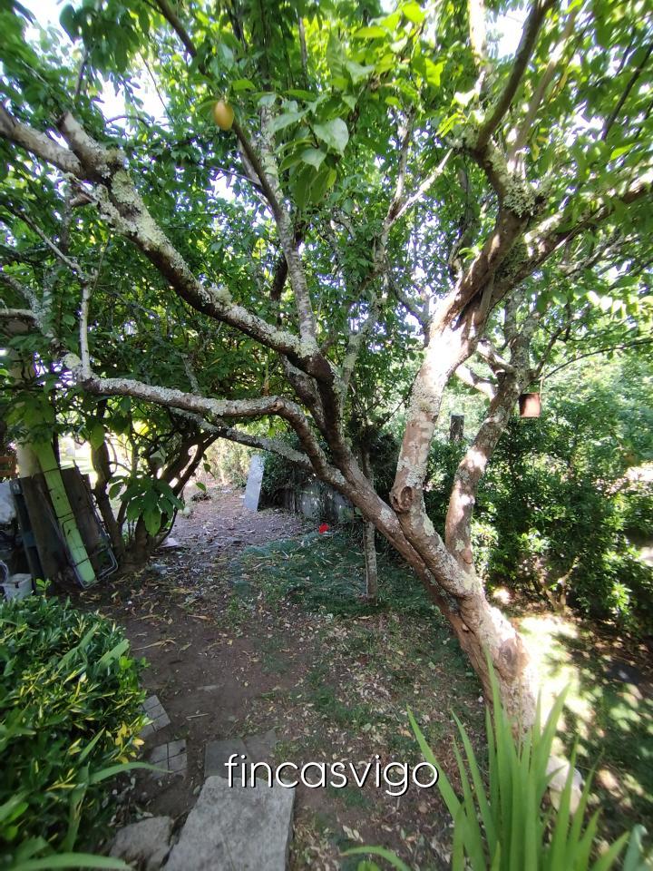 178180605269700045008_178180524016 Casa en Vigo