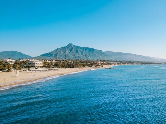 Local comercial en venta en Playa de la Fontanilla