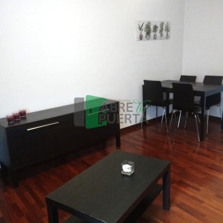 APARTAMENTO AMPLIO EN EL CENTRO