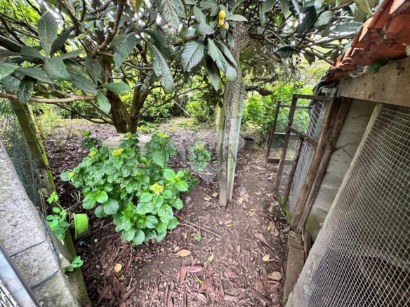 VENTA EN A CAÑIZA