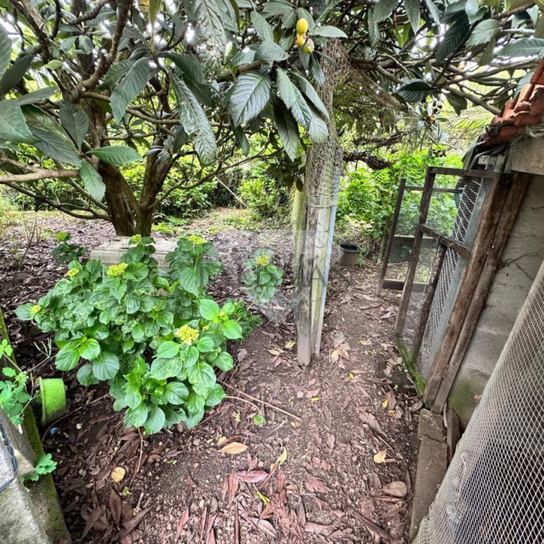 VENTA EN A CAÑIZA