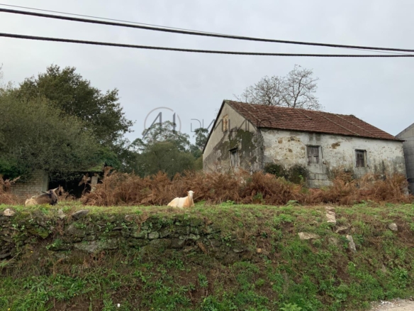 Casa rústica a reformar con parcela de 5447 m2 en Mos
