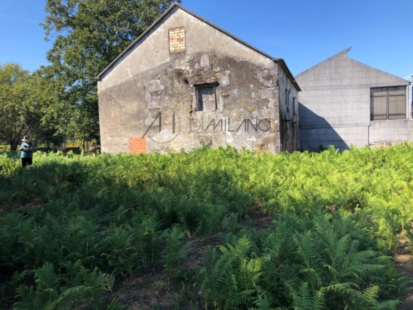 Casa rústica a reformar con parcela de 5447 m2 en Mos