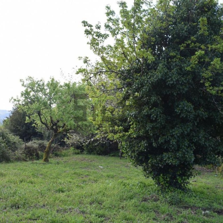 CASA DE PUEBLO EN GUSTEY