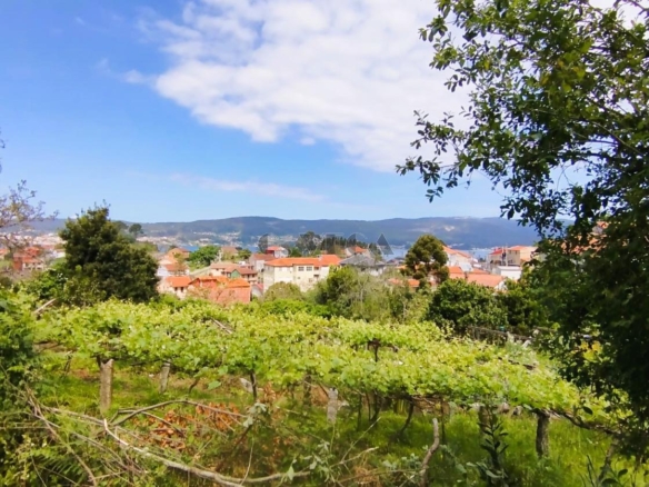 Parcela en MARIN