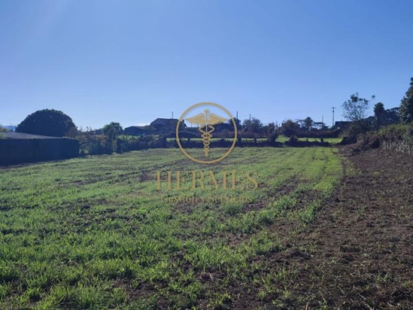Solar en venta, a 900 m  del centro de Tui.