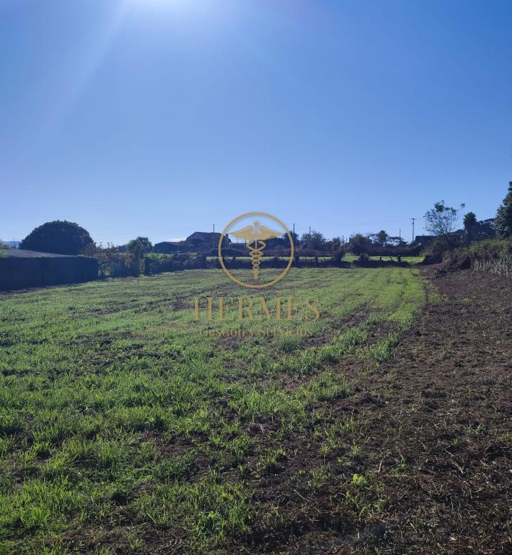 Solar en venta, a 900 m  del centro de Tui.