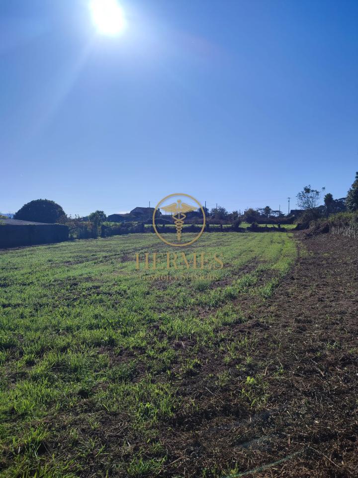 178396446809600009198_173142328828 Solar en venta, a 900 m del centro de Tui.