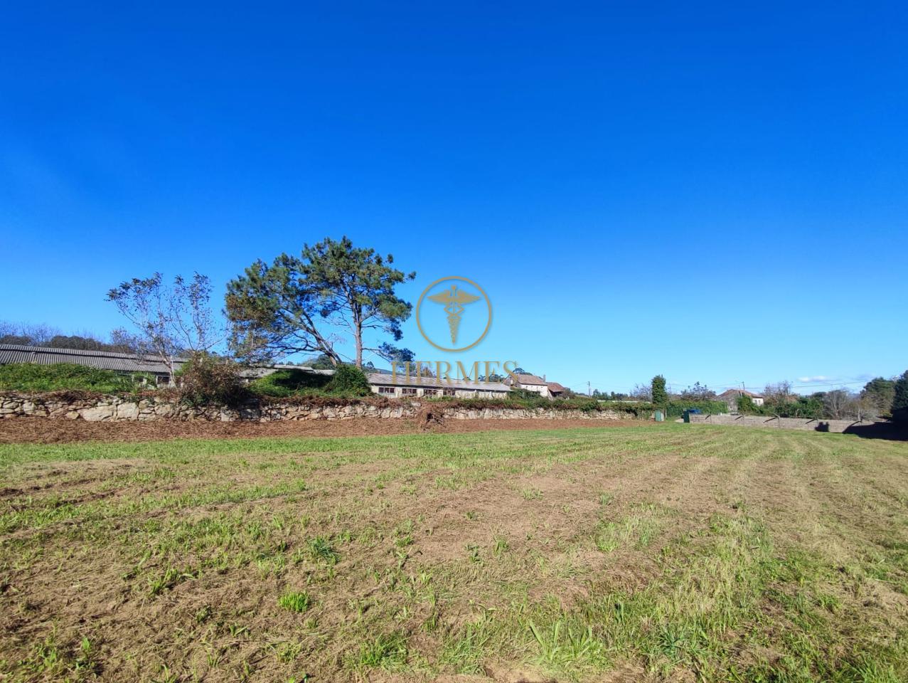 178396446967100009198_173142329029 Solar en venta, a 900 m del centro de Tui.