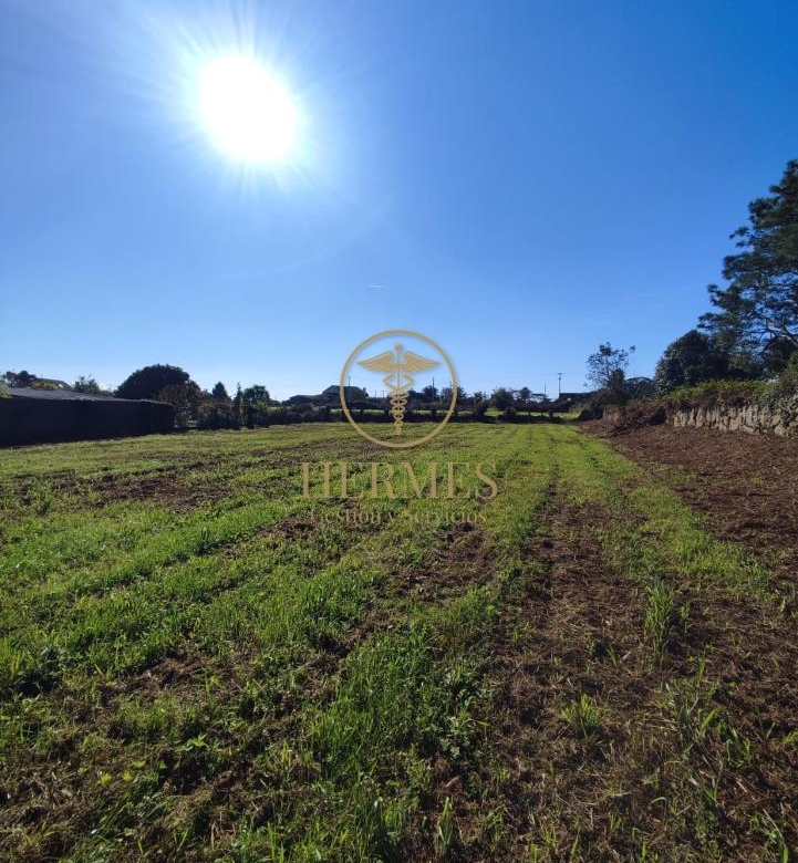 Solar en venta, a 900 m  del centro de Tui.