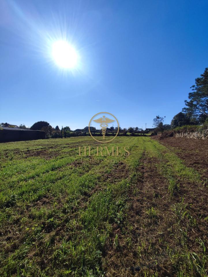178396446979100009198_173142329290 Solar en venta, a 900 m del centro de Tui.