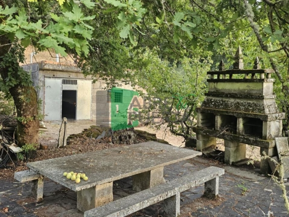 FINCA RUSTICA EN AS CASIÑAS / A PEROXA