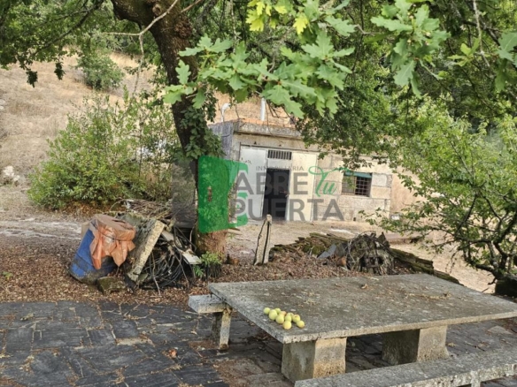 FINCA RUSTICA EN AS CASIÑAS / A PEROXA