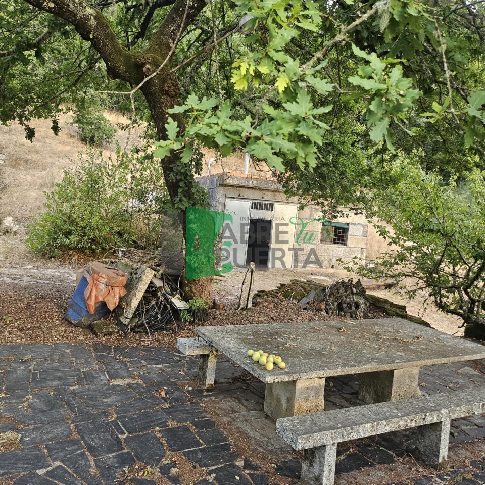178577457084500011099_178577407158 FINCA RUSTICA EN AS CASIÑAS / A PEROXA
