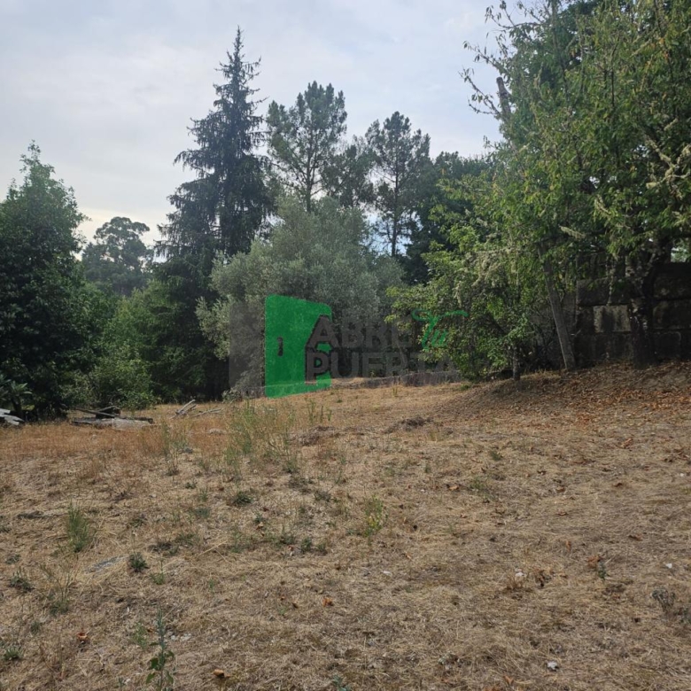 FINCA RUSTICA EN AS CASIÑAS / A PEROXA