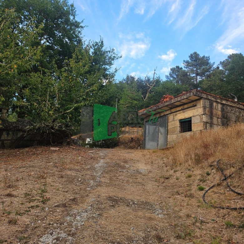 FINCA RUSTICA EN AS CASIÑAS / A PEROXA