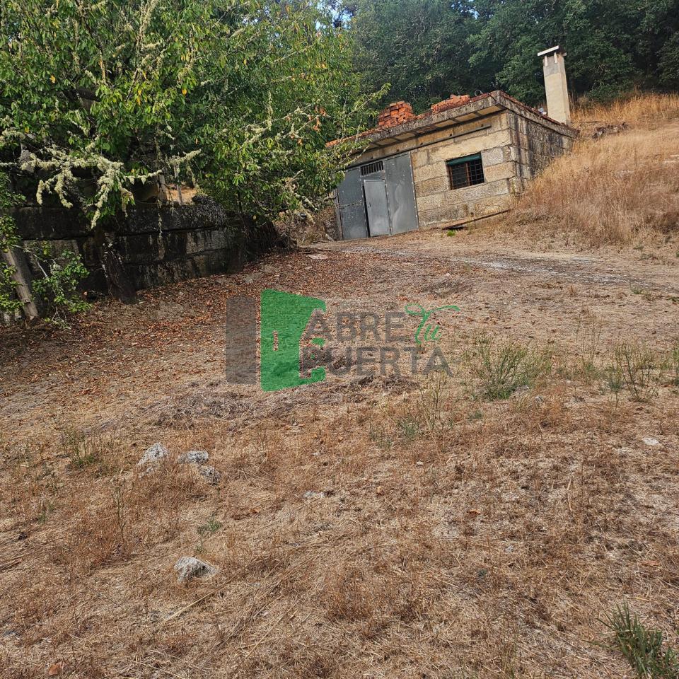 178577457587600011099_178577407830 FINCA RUSTICA EN AS CASIÑAS / A PEROXA
