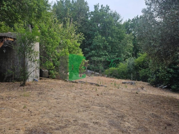 FINCA RUSTICA EN AS CASIÑAS / A PEROXA