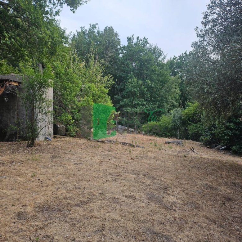 FINCA RUSTICA EN AS CASIÑAS / A PEROXA