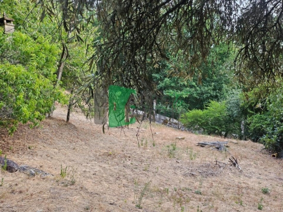 FINCA RUSTICA EN AS CASIÑAS / A PEROXA