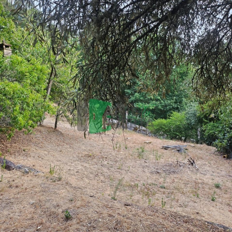 FINCA RUSTICA EN AS CASIÑAS / A PEROXA