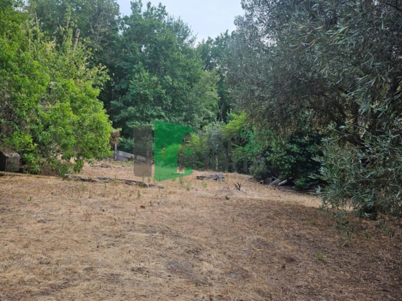 FINCA RUSTICA EN AS CASIÑAS / A PEROXA