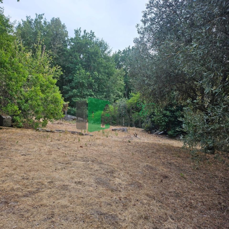 FINCA RUSTICA EN AS CASIÑAS / A PEROXA