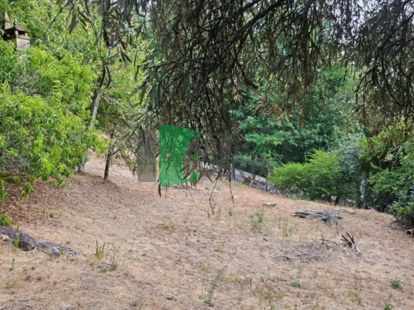 FINCA RUSTICA EN AS CASIÑAS / A PEROXA