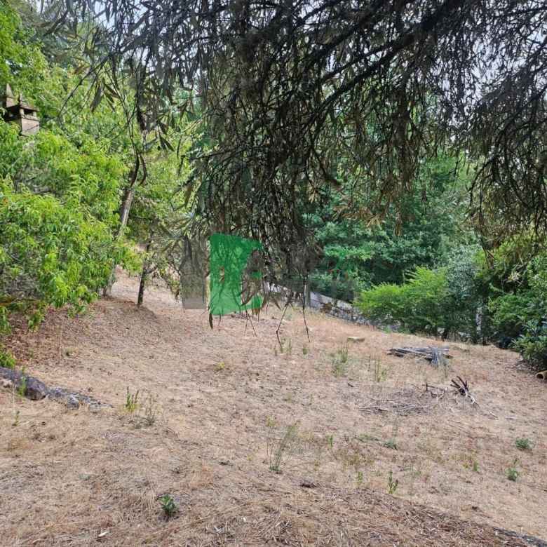 FINCA RUSTICA EN AS CASIÑAS / A PEROXA