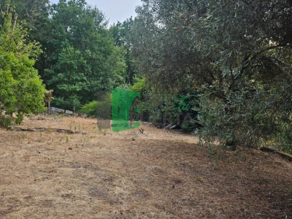 FINCA RUSTICA EN AS CASIÑAS / A PEROXA