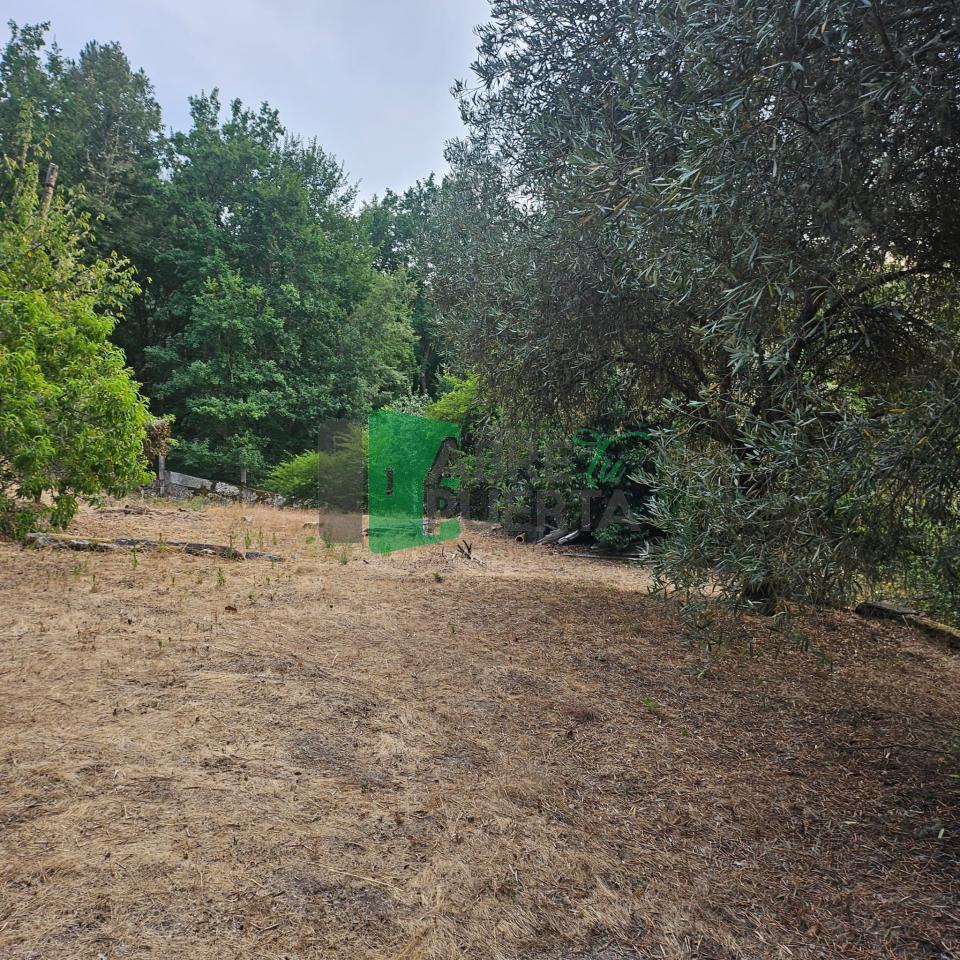 178577457881700011099_178577408433 FINCA RUSTICA EN AS CASIÑAS / A PEROXA