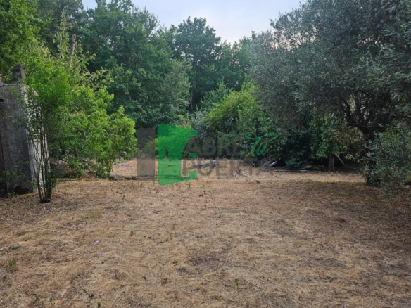 FINCA RUSTICA EN AS CASIÑAS / A PEROXA