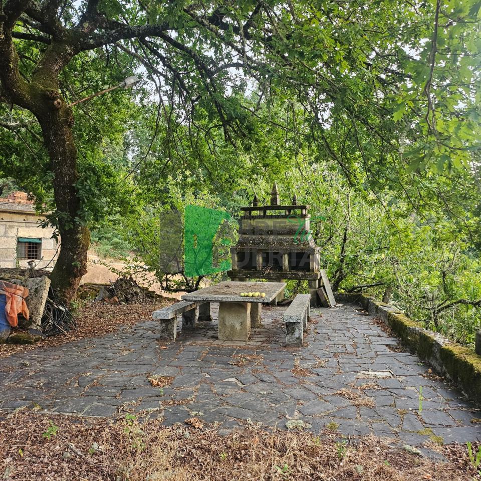 178577458084500011099_178577409172 FINCA RUSTICA EN AS CASIÑAS / A PEROXA