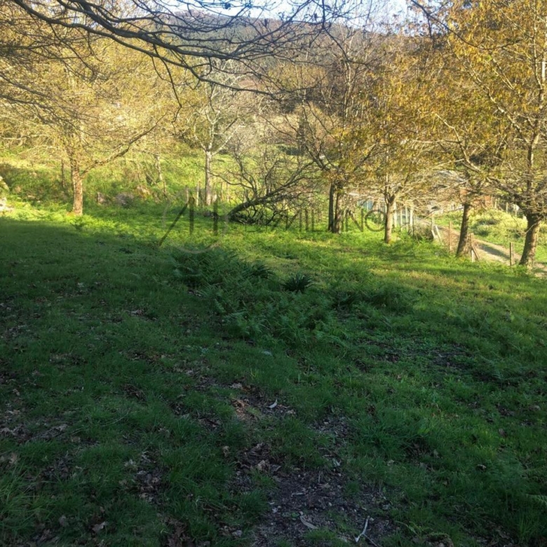 Parcela edificable de 3.200 m² en Gondomar