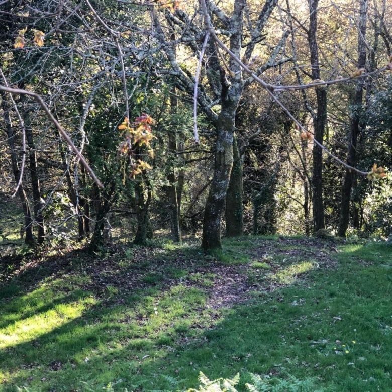 Parcela edificable de 3.200 m² en Gondomar