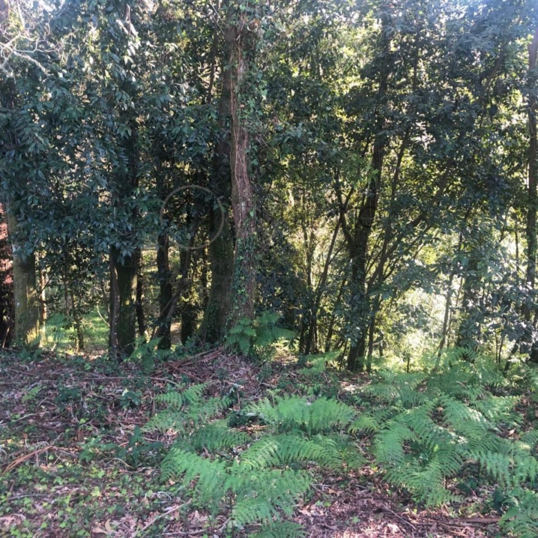 Parcela edificable de 3.200 m² en Gondomar