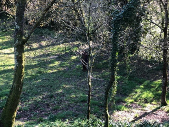 Parcela edificable de 3.200 m² en Gondomar