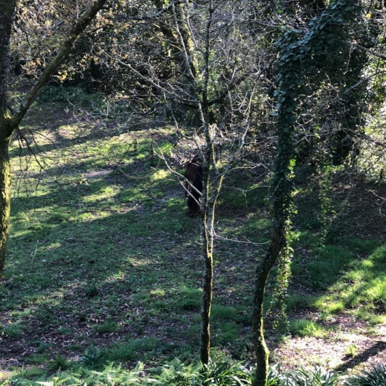 Parcela edificable de 3.200 m² en Gondomar