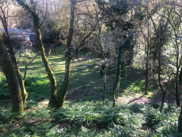 Parcela edificable de 3.200 m² en Gondomar