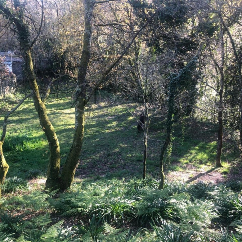 Parcela edificable de 3.200 m² en Gondomar
