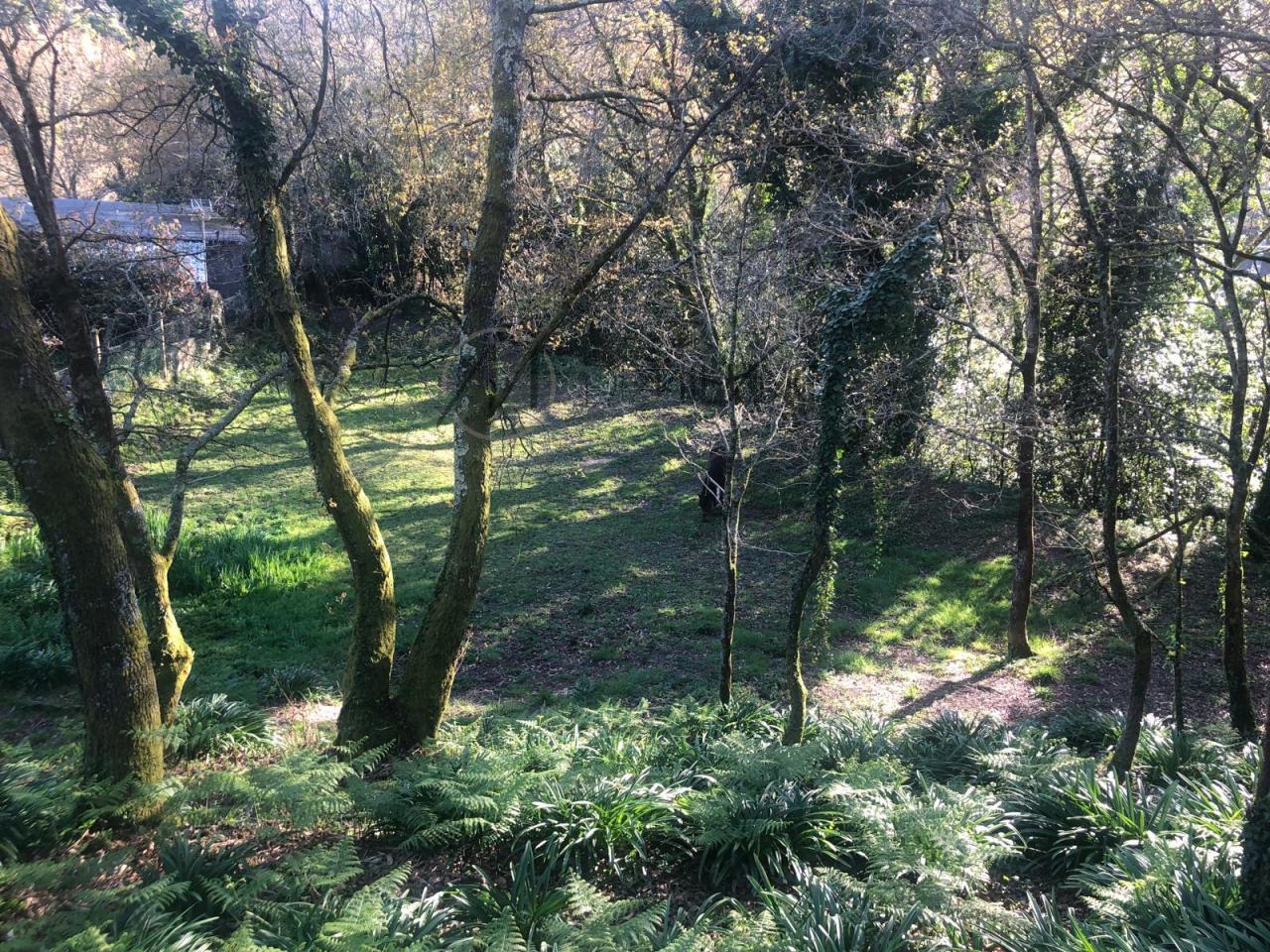 178583107892300011102_178583074611 Parcela edificable de 3.200 m² en Gondomar