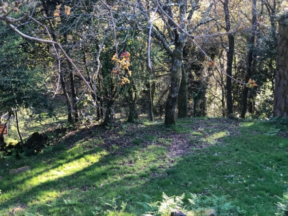 Parcela edificable de 3.200 m² en Gondomar