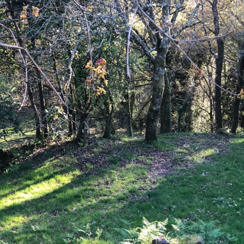 Parcela edificable de 3.200 m² en Gondomar