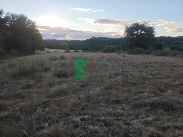 FINCA URBANIZABLE A 5 MINUTOS DE ALLARIZ