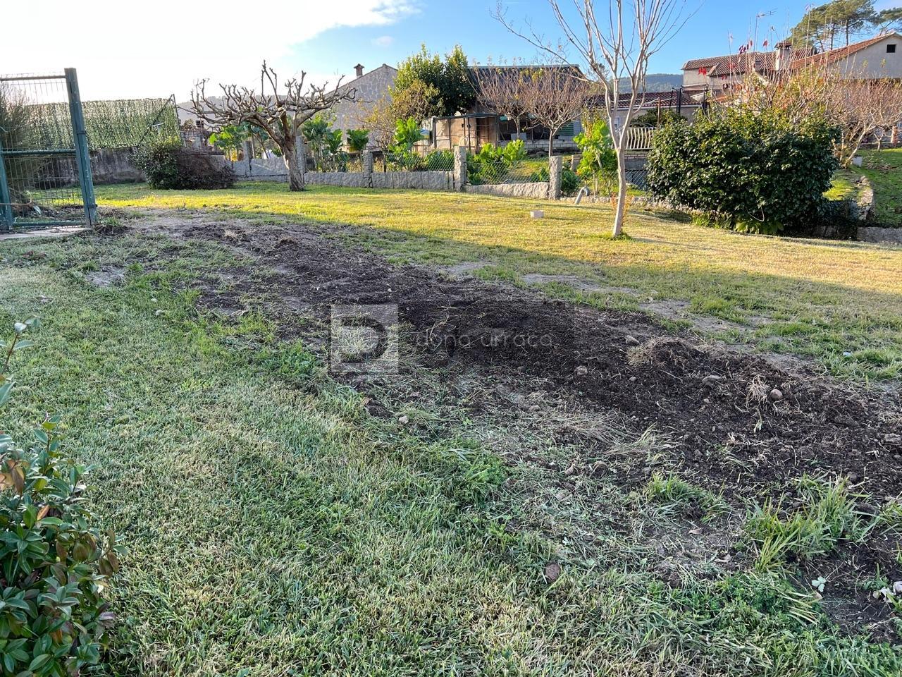 178661351598500045643_163852409579 CASA EN ALQUILER EN TOMIÑO CON 900 M² DE PARCELA | 800 €/MES