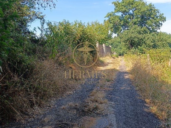 Se vende finca rustica a 1 km de Tui